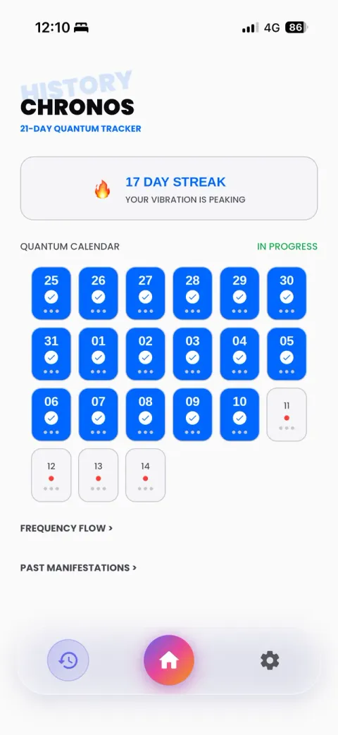 The 369 Zone history screen: a 17-day streak and the 21-day calendar.